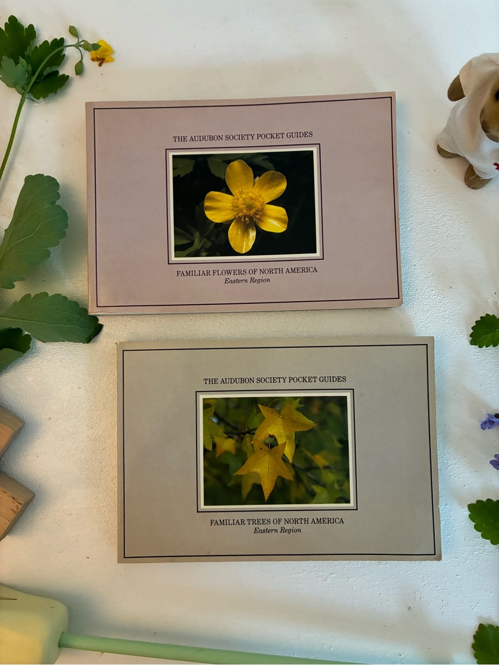 2 Pocket Guides - Familiar Flowers & Trees of North America Audubon 1986